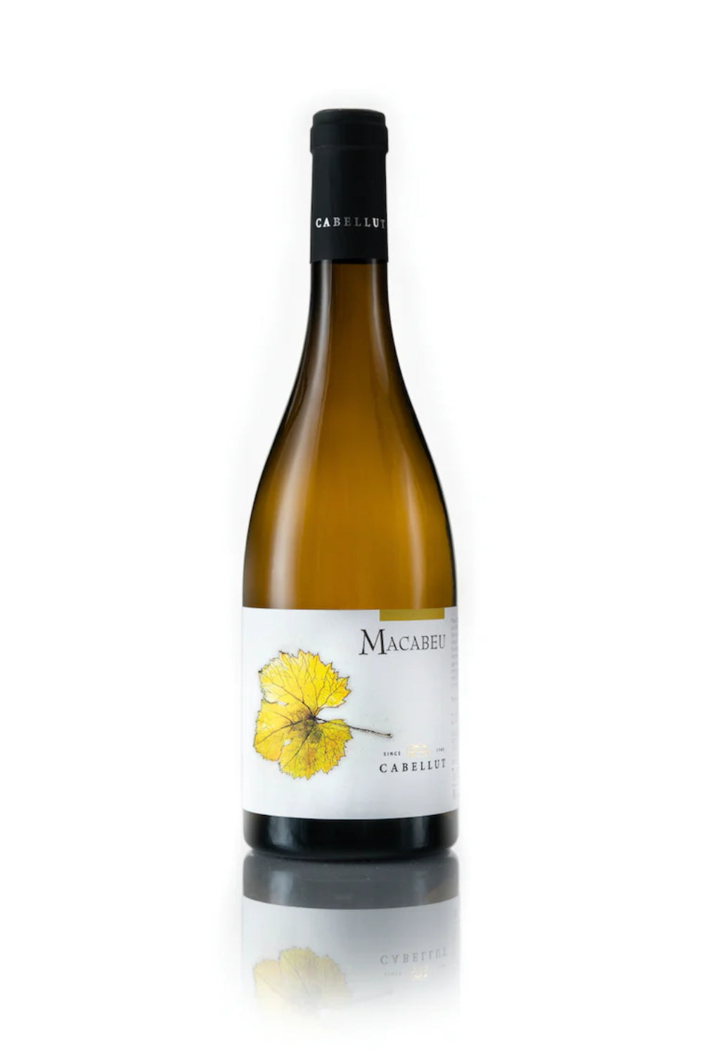Macabeu Rich White Wine
