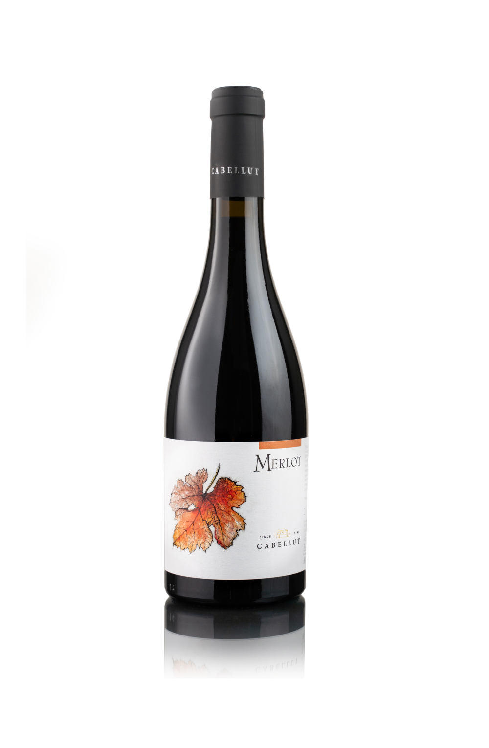 Merlot Rich Red Wine