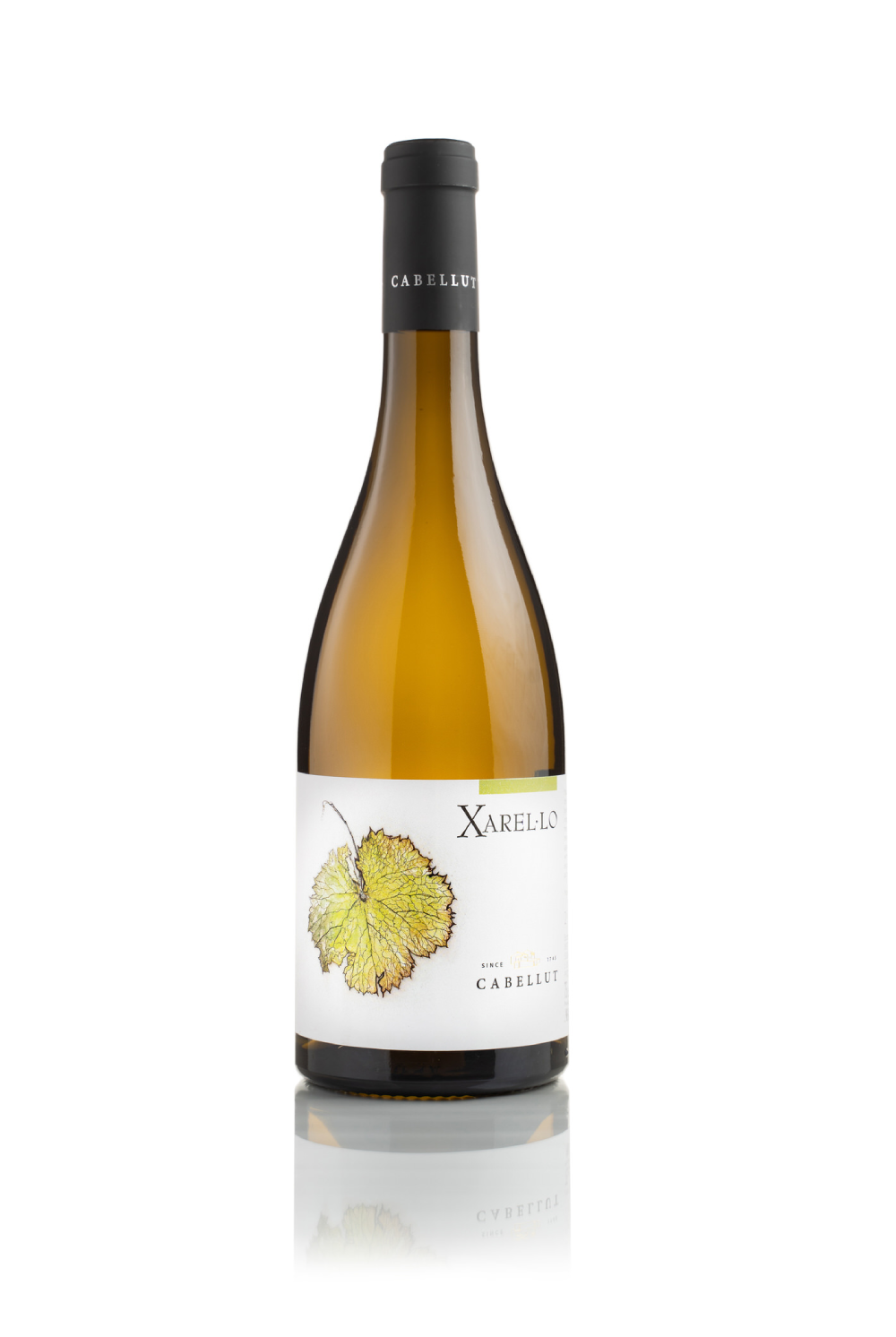 Xarel.lo Mineral White Wine
