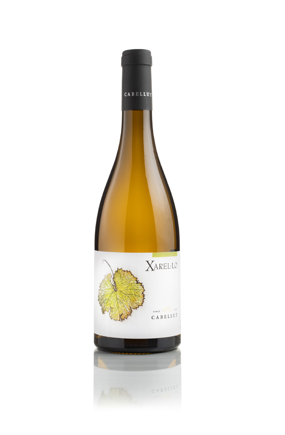 Xarel.lo Mineral White Wine